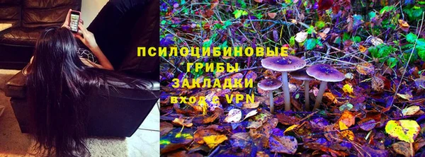 дмт Карпинск