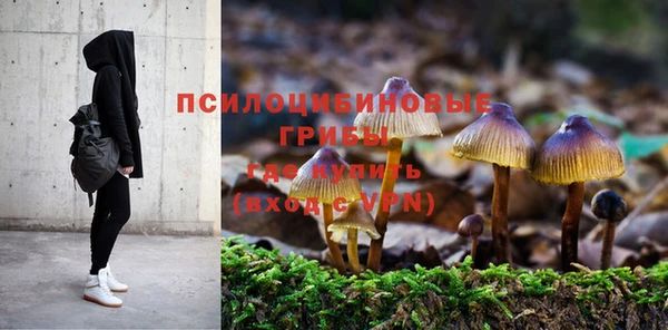 дмт Карпинск