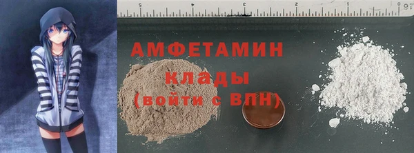 амф Касимов