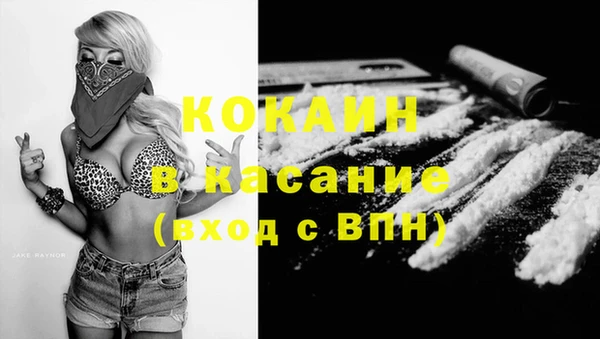 амф Касимов